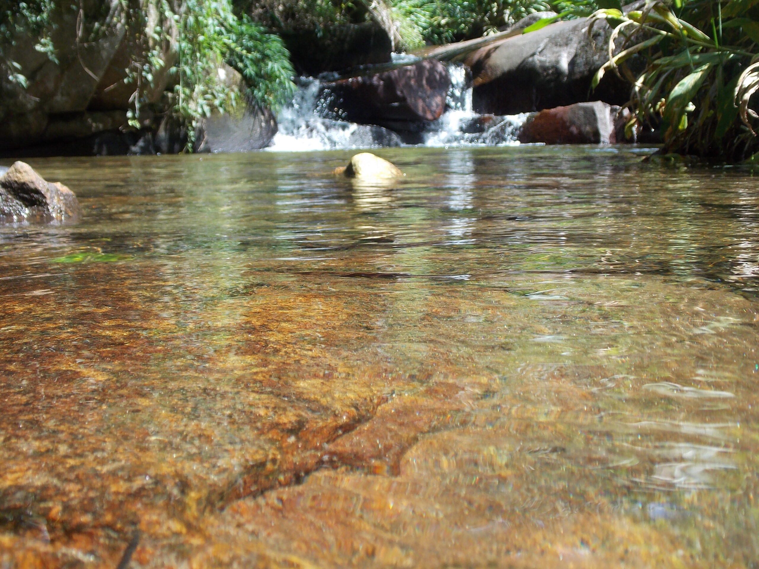 Imagem de um poço de água Cristalina em Cardinot Nova Friburgo